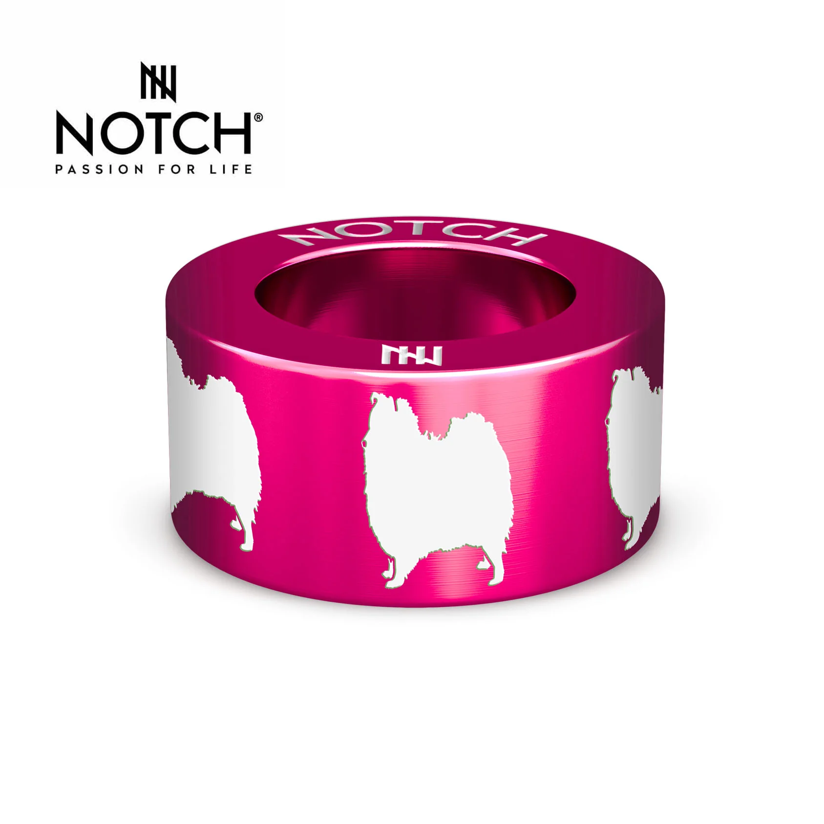 All Notches